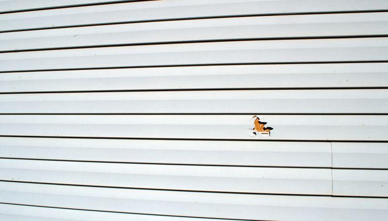 Expert Siding Repair