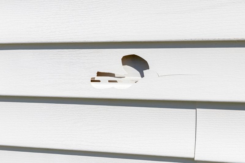 Weathered Vinyl Siding Fix